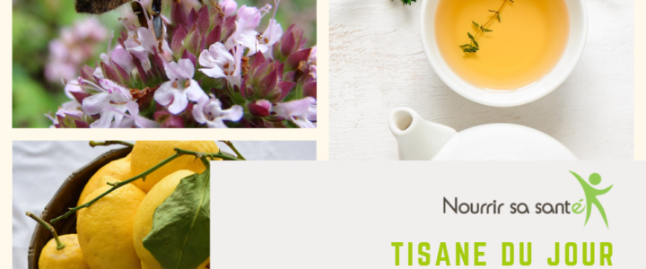 Tisanes, se faire du bien et un goût nature